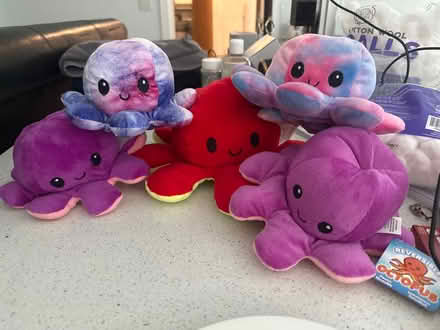 Photo of free Octopus teddies (Ilkley LS29) #1