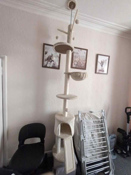 Photo of free Cat tree (Blackpool FY4) #1