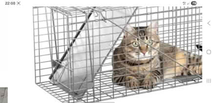 Photo of Cat trap (Holloway road N4) #2