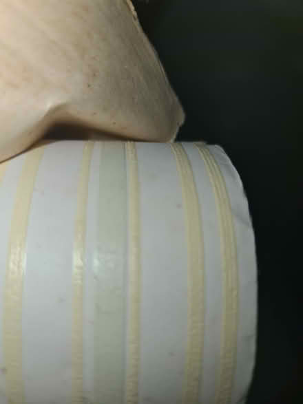 Photo of free Wallpaper with raised stripes (Hackney E8) #2