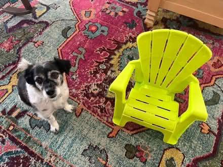 Photo of free Kids Adirondack Chair (Wilshire and La Cienega) #2