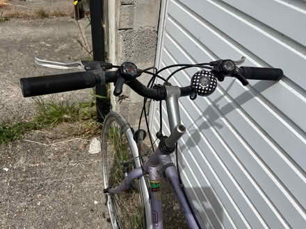 Photo of free Menโs Bicycle (Axminster EX13) #2