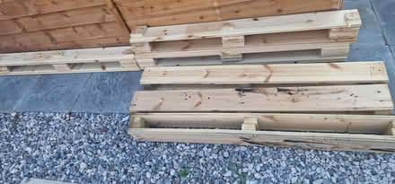 Photo of free Wood (Royston SG8) #1