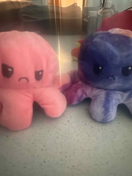 Photo of free Octopus teddies (Ilkley LS29) #2