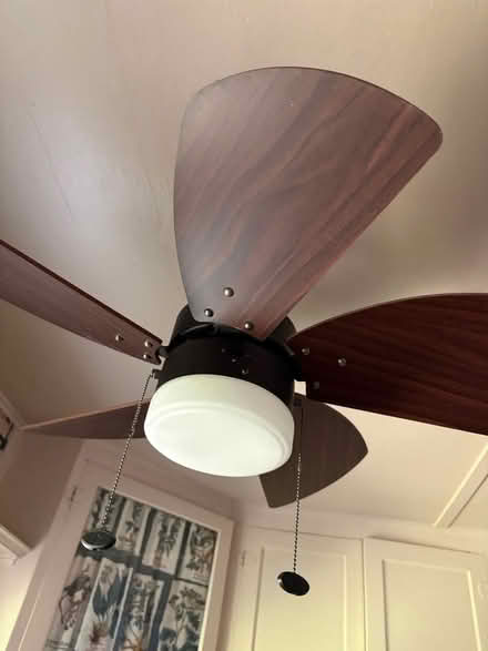 Photo of free Ceiling fan/light (Croton-on-Hudson) #1