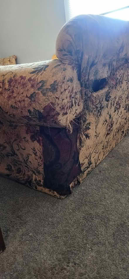 Photo of free Comfortable Couch (e.monmouth ave.) #3