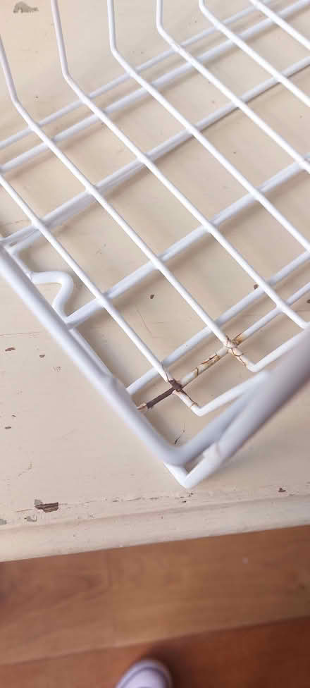 Photo of free Two wire shelf units with sliding trays (Oswestry SY11) #3