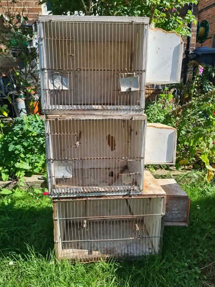 Photo of free Bird breeding boxes (Bishop's Stortford CM23) #1