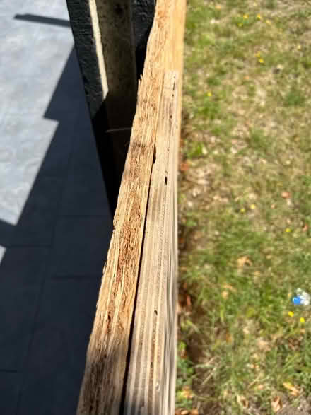 Photo of free OSB boards large , very good condition (Lamorbey DA15) #3