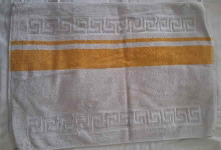 Photo of free Bath mat (South Acton) #1