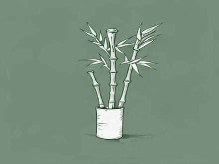 Photo of Bamboo cains (Dolley Green LD8) #1