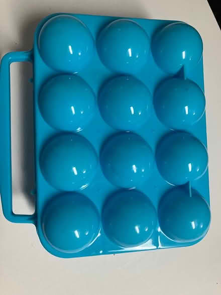 Photo of free EGGtray (Britannia/Terry Fox) #1