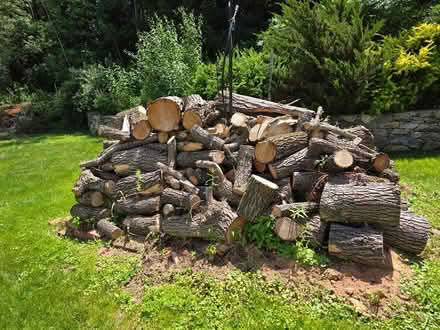 Photo of free Outdoor fire wood (14 Chicory Rd Westford) #1