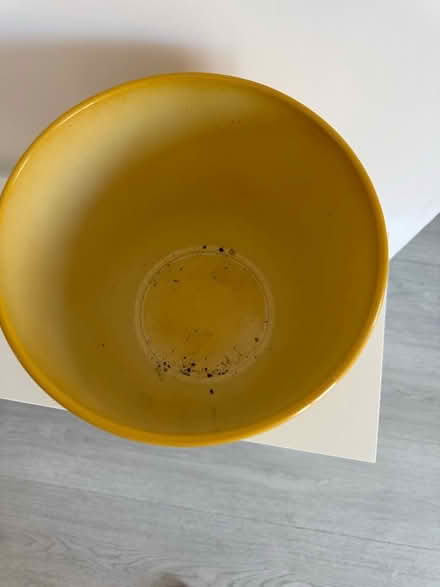 Photo of free Plant pot (Reading West RG1) #2