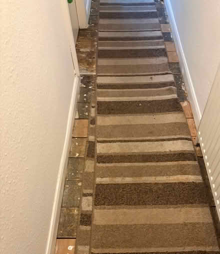 Photo of free Two runners (edgbaston B16) #1