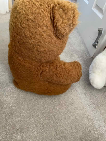 Photo of free Teddy / rabbit cuddly toy (SE28) #2