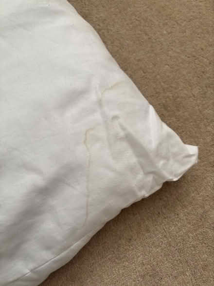 Photo of free Three Use Clean Pillows (Macclesfield SK10) #3
