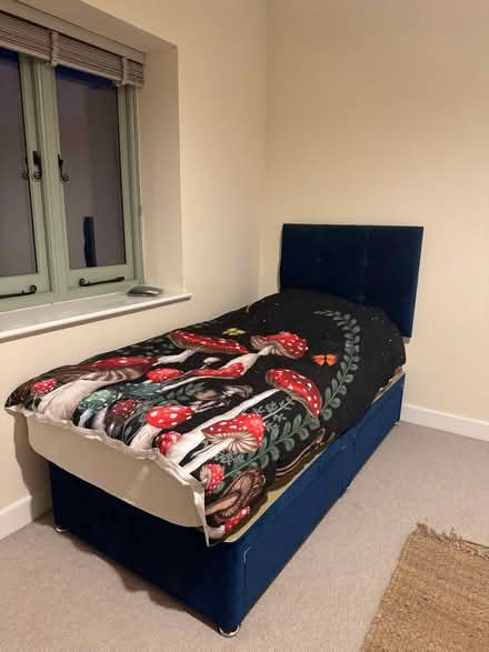 Photo of free 3ft Single bed (Roadwater TA23) #1