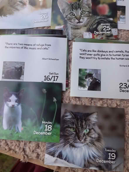 Photo of free Loads of cat pictures for crafting (Riverdene RG21) #2