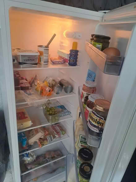 Photo of free Fridge (S137TR) #1