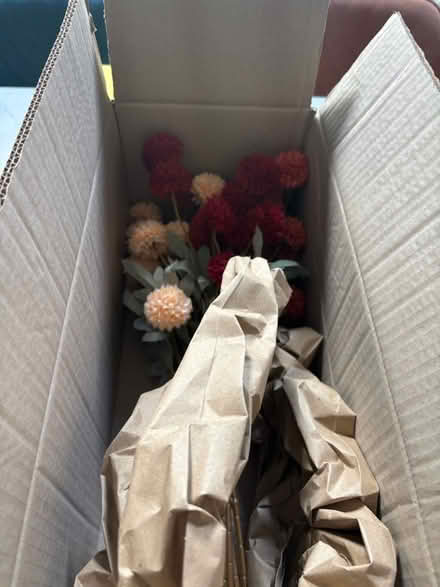 Photo of free Fake flowers (Bramcote, NG9) #2