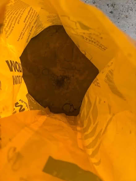 Photo of free Multipurpose Mortar (East Malling ME19) #2