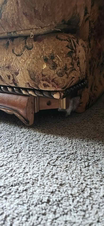 Photo of free Comfortable Couch (e.monmouth ave.) #4