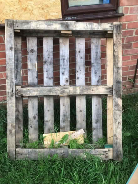 Photo of free Wooden pallet (Sprowston NR7) #1