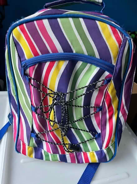 Photo of free Picnic cool bag (Ballynafoy BT6) #1