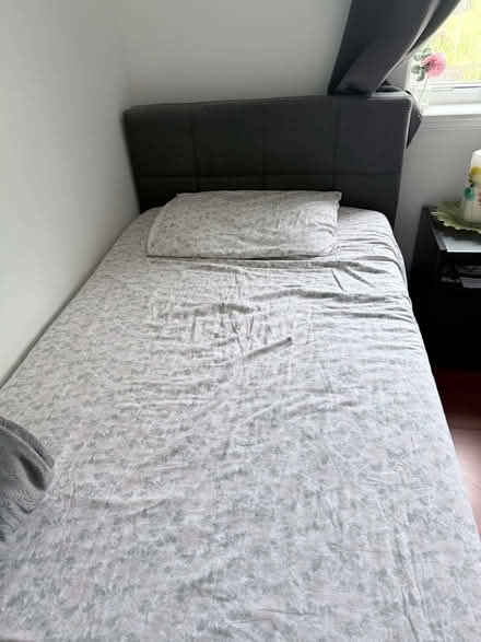 Photo of free Twin beds (Doral, FL) #1