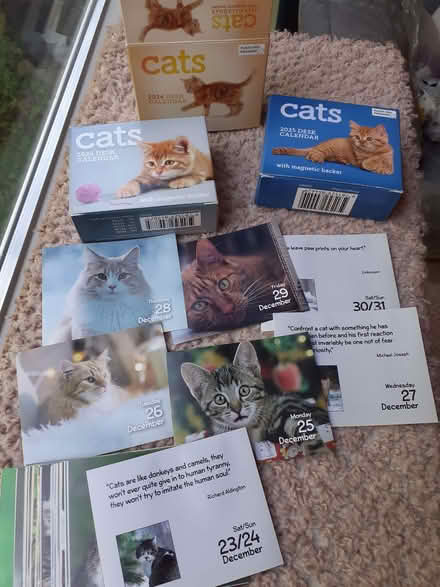 Photo of free Loads of cat pictures for crafting (Riverdene RG21) #1