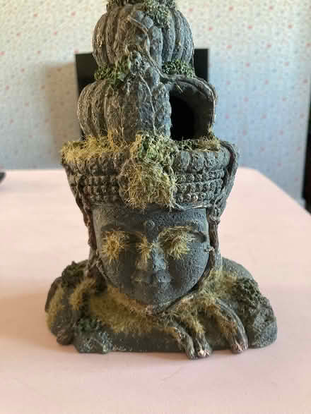 Photo of free Buddha (plastic) (B71 West Bromwich) #1