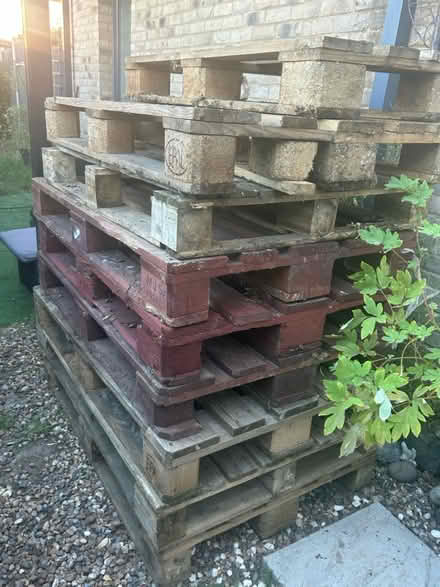 Photo of free Small Euro pallets (Chipping Barnet EN5) #1