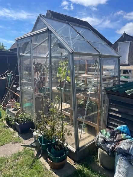 Photo of free Crittall Greenhouse (Littleworth GL5) #2