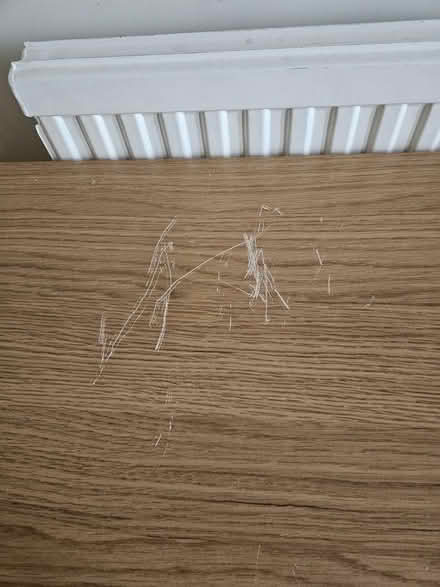 Photo of free 2x sideboard cupboards (WF14) #4