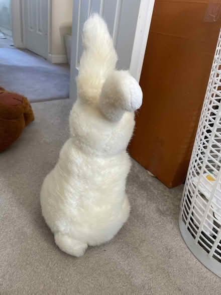 Photo of free Teddy / rabbit cuddly toy (SE28) #4