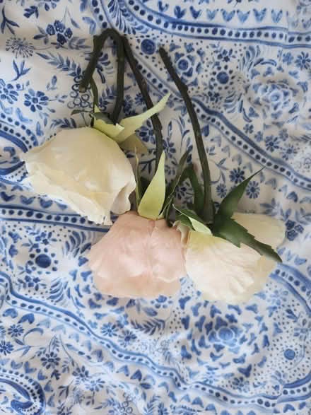 Photo of free 3 fake flowers (Earley RG6) #2