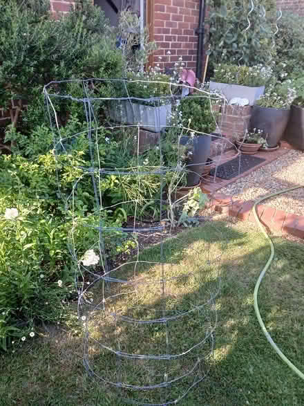 Photo of free Plants climbing frames x 2 (GU3 1JQ Compton) #2