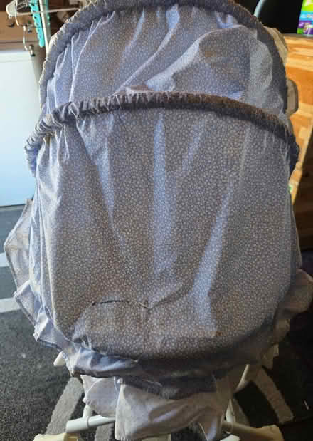 Photo of free Bassinet (Lawrence & 101) #3