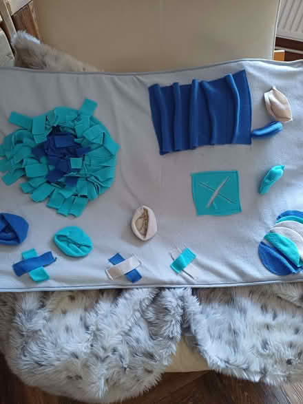 Photo of free Dogs Snuffle mat (Alcester Lanes End B13) #1