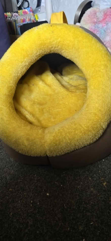 Photo of free Small dog/cat house (Petersfield) #2