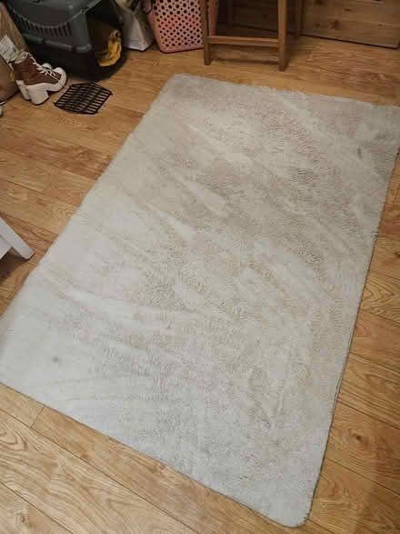 Photo of free Fluffy area rug (Shiregreen S5 0AN) #2
