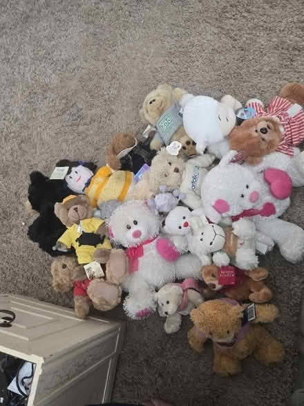 Photo of free Collection of stuffed toys (Chaddesden DE21) #1