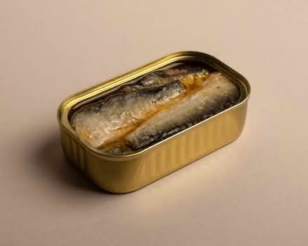 Photo of Empty small sardine tins (Widdrington, Morpeth NE61) #1
