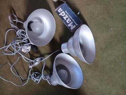 Photo of free lamps (Belper DE56) #1