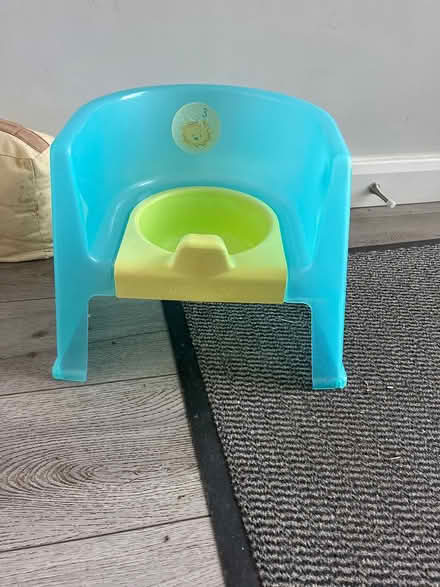 Photo of free Fabulous throne potty (Leckhampton) #1