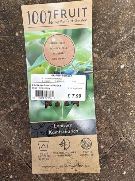 Photo of free Garden Plant (Toton NG9) #1
