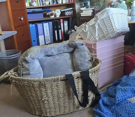 Photo of free Baskets and boxes (Hp2 4ef) #1