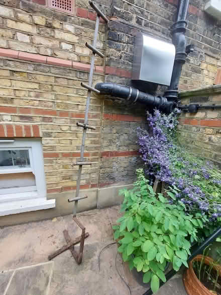 Photo of free metal espallier frame (Hampstead NW3) #1