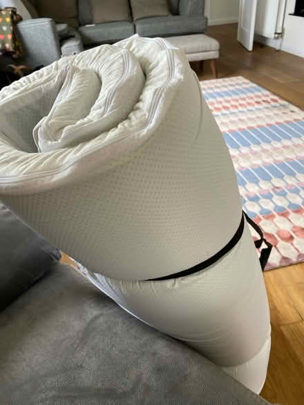 Photo of free Mattress topper - single size (Comber,) #1